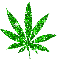 feuille de pot